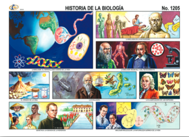 Como comenso la biologia