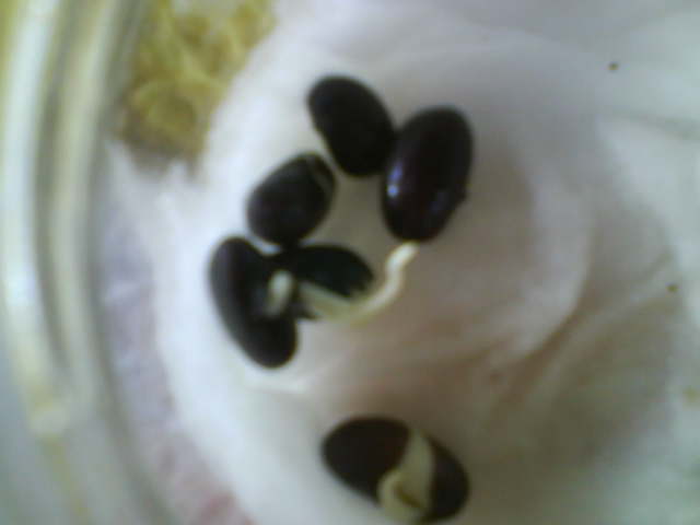 como se descubrio la biologia