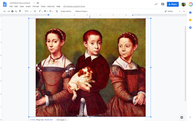 Anne Hathaway has twins