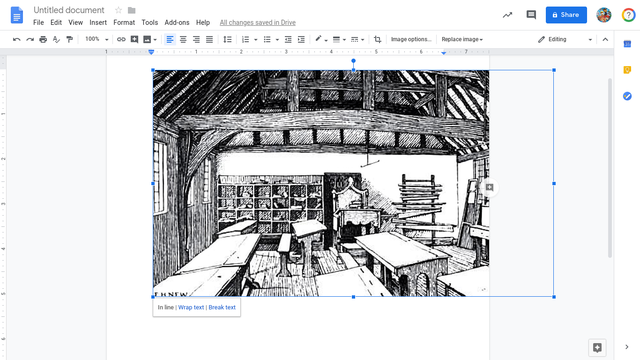 Shakespeare Goes to School