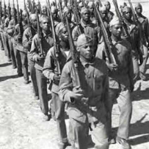 The Integration of the Armed Forces