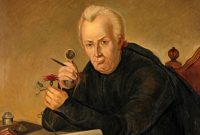 JOSÉ CELESTINO MUTIS