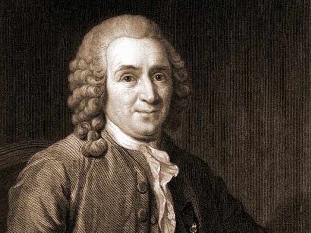 The last years of life.