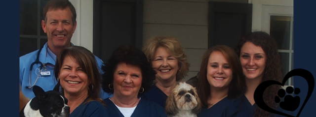 I went back to college to become a Vet Technologist