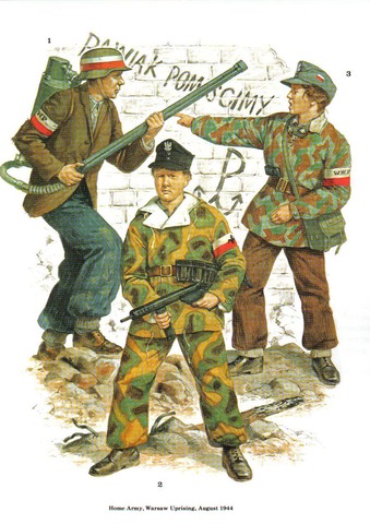 Guerra polaco-soviética