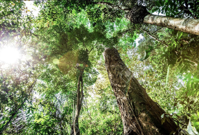 Primera parada: Brasil