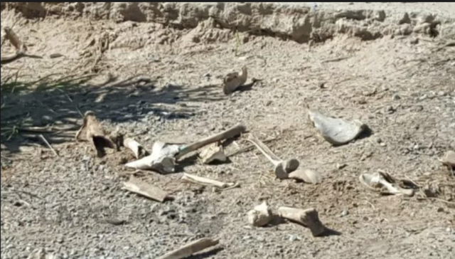 Segunda parada: Argentina