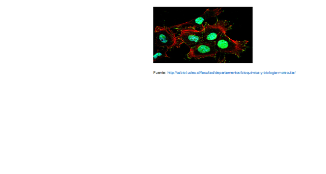 1983. Nace la Bioquímica y la biología molecular.