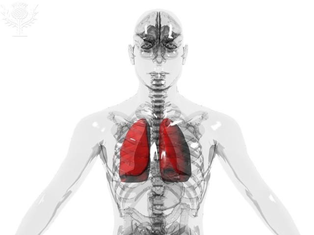 FIRST LUNG TRANSPLANT