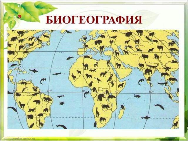 биогеография