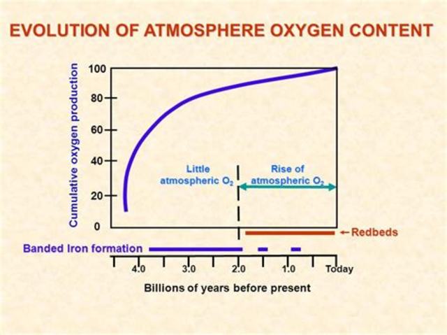 Rise in atmospheric oxygen