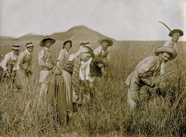 Abolición de la servidumbre.