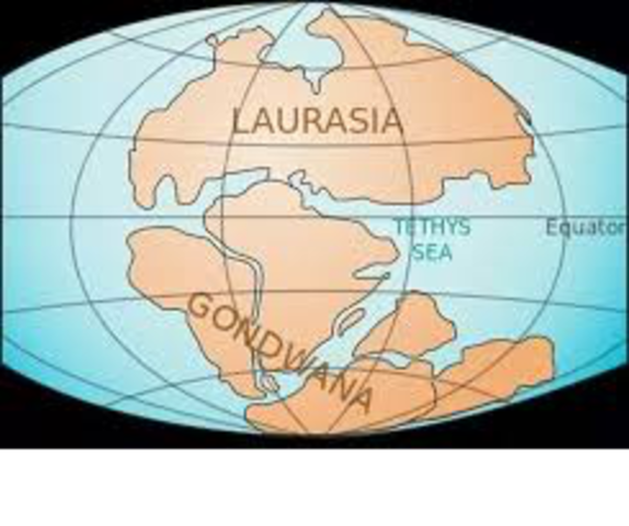 Continental Drift (180 MYA)