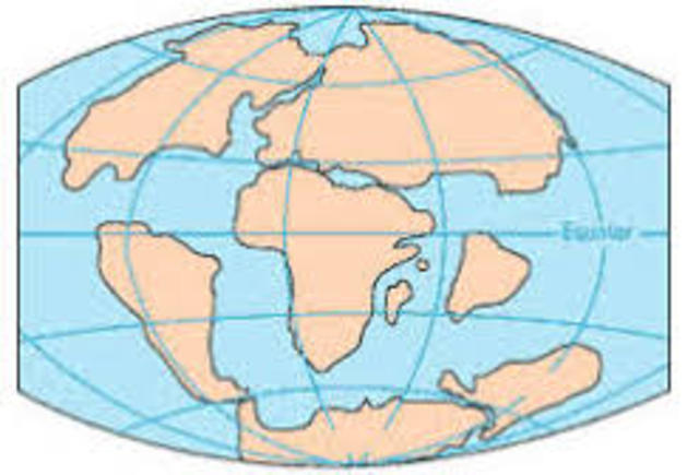 Laurasia and Gondwana Separate (65 MYA)