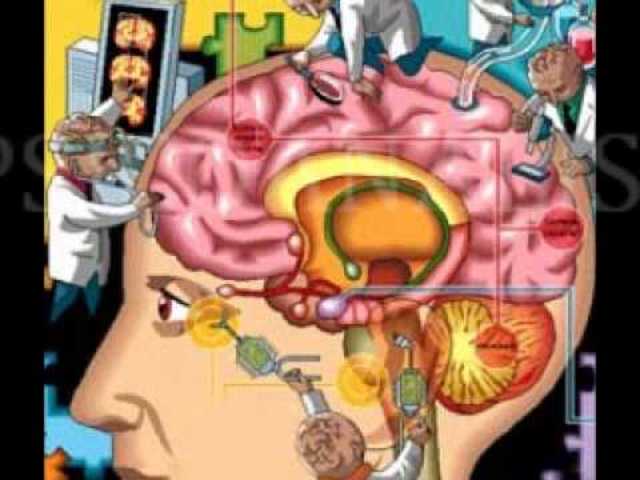 SIGLO XIX - La Psicología Científica