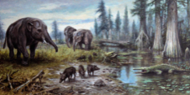 Tertiary Period (Cenozoic Era)