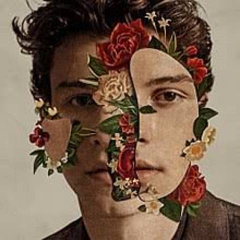 Shawn Mendes The Álbum
