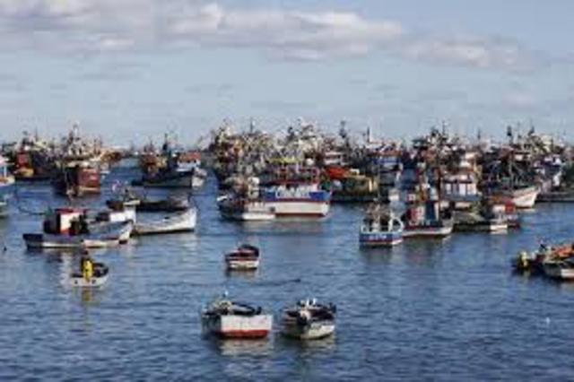 Cooperativa americana por pleckhoy