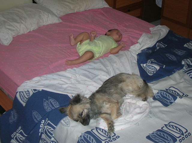 la meva primera goseta