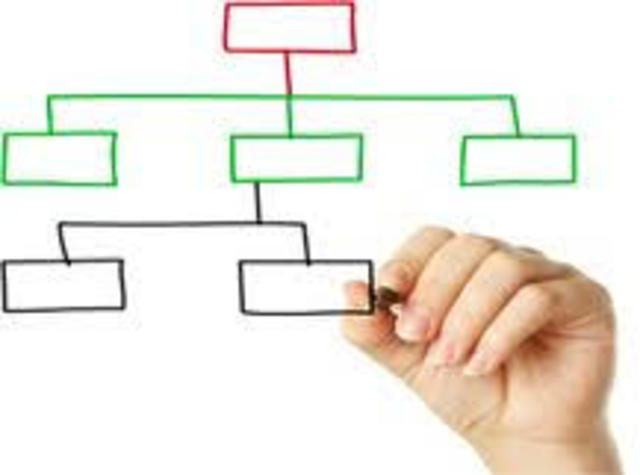 Organización del curriculum