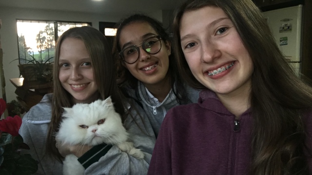 COLEGIO NUESTRA SEÑORA DE LAS MERCEDES