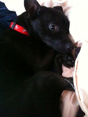 Wally joins the party AND....