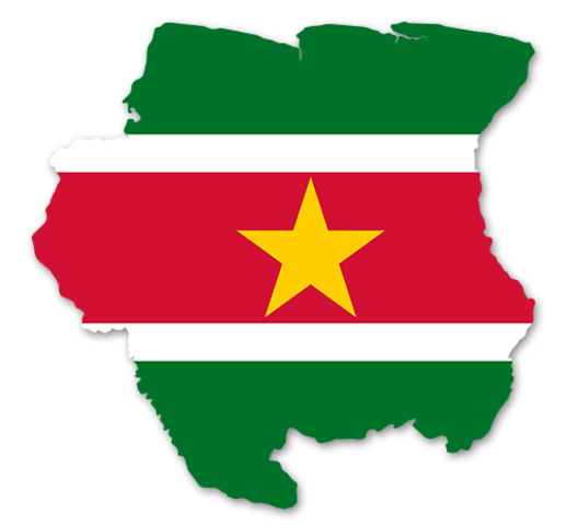 Misión Especial en Suriname (1992-2000)