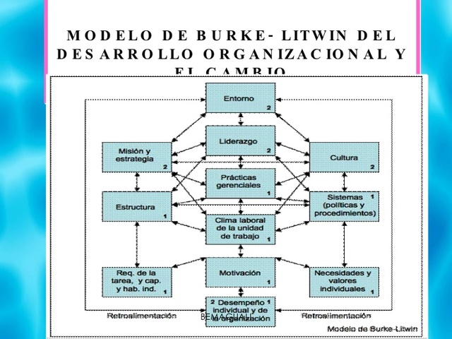 Burke DO proceso planificado en la cultura