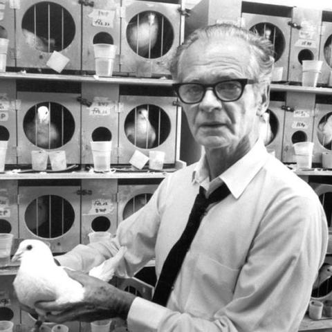 B.F. Skinner