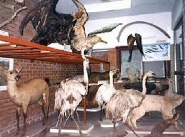 Zoología