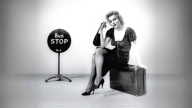 Contrae nupcias nuevamente