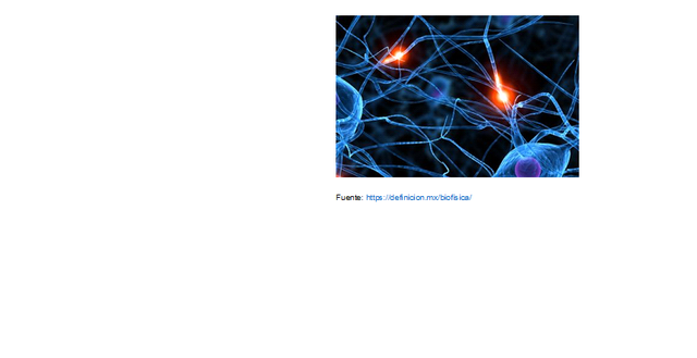 2019. Expansión de la física.