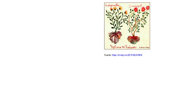 3000 AC. Herbolaria.