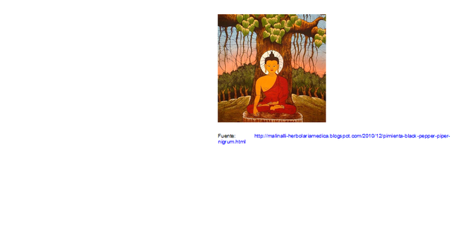 3000 AC. Herbolaria.