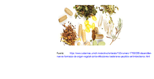 1600 AC. Fármacos vegetales.