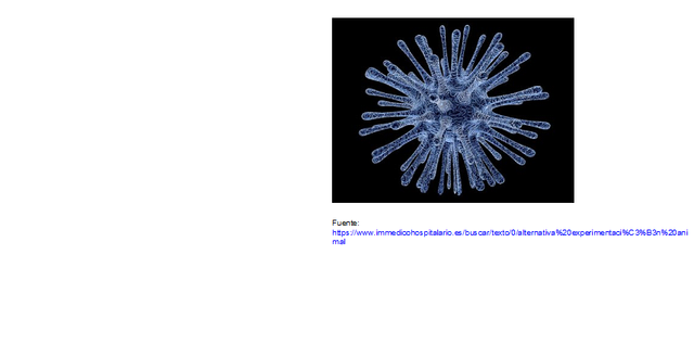 1578-1675. Experimentación.