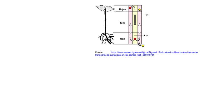 1742. 1786. Sustancias.