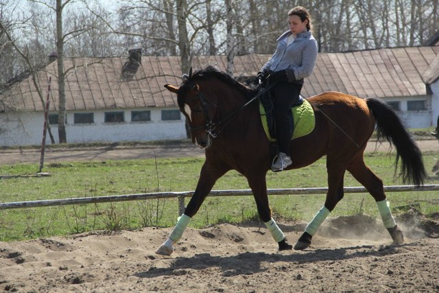 Победа в бою, продолжение войны