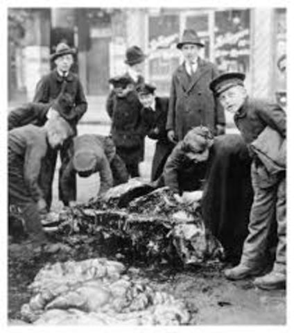 The Surrender Of Germany