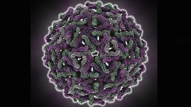 First appearance in Nepal