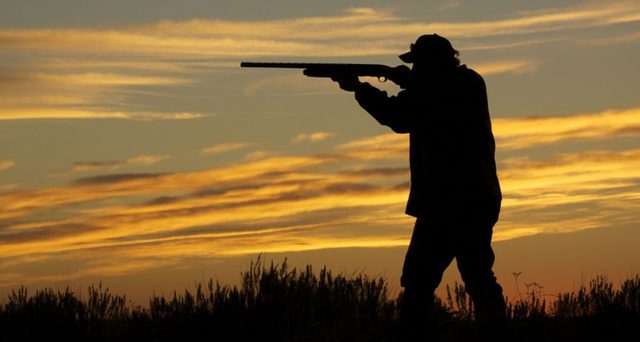 Tío lobo es cau d’un acantilat matant a la lloba roguenca