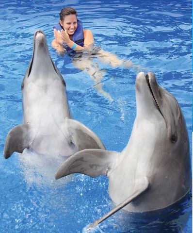 went to florida and swam with dolphins