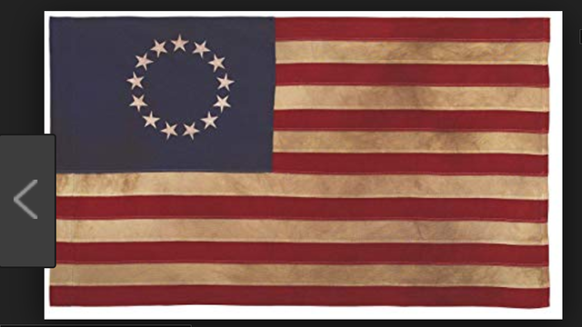 america chooses a flag