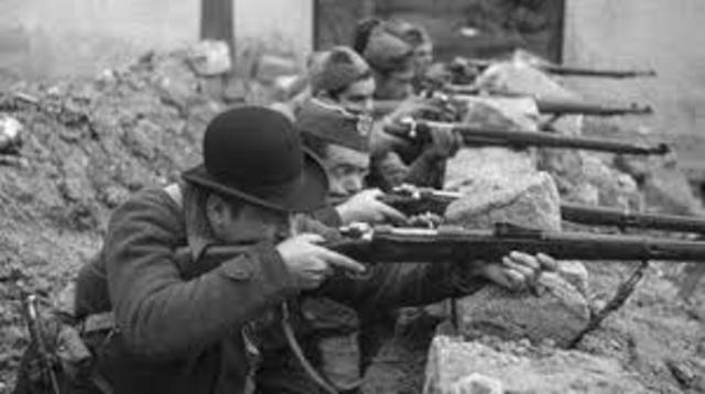 Brigada Internacional