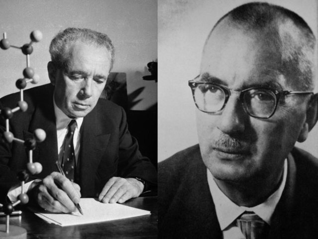 Giulio Natta y Karl Ziegler (1903-1979; 1898-1973)
