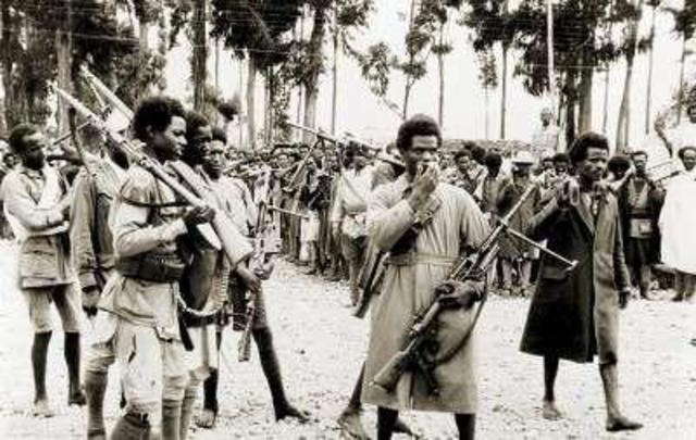 Ethiopian war resulted