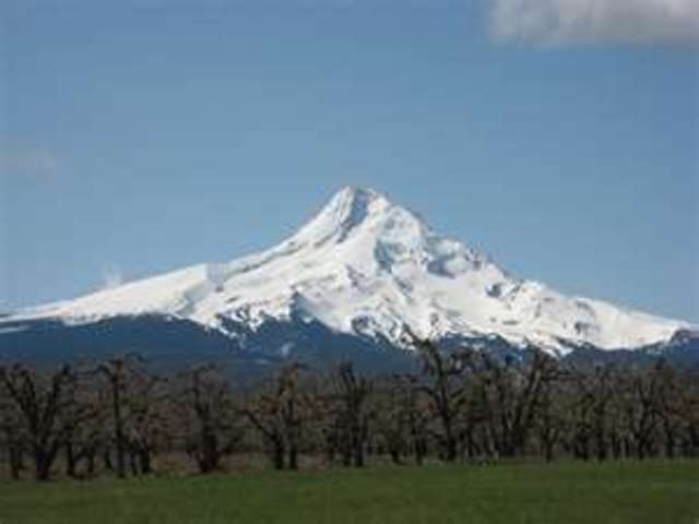Mount Hood