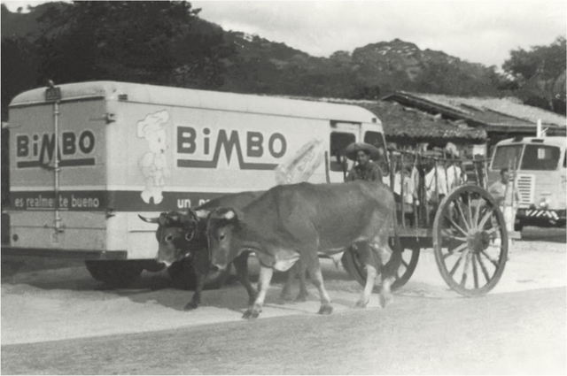 Estructuracion del sistema de transporte para distribucion