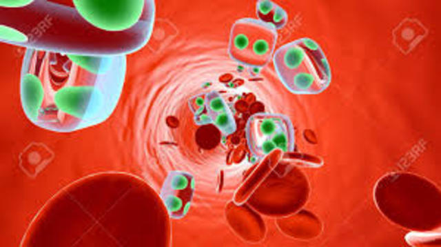 Marshall, Cutting y Emerson