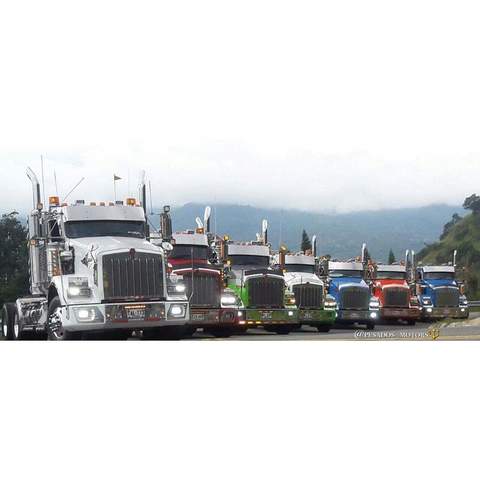 I am characterized for being a special person with women very respectful I hope to fulfill my dreams and that my com... Más